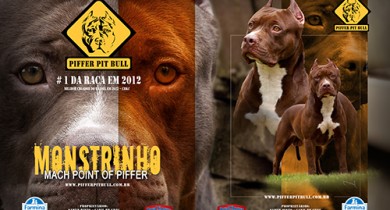Galeria de Imagens Piffer Pugs: PUBLICIDADE REVISTA BEST IN SHOW - MARÇO 2012