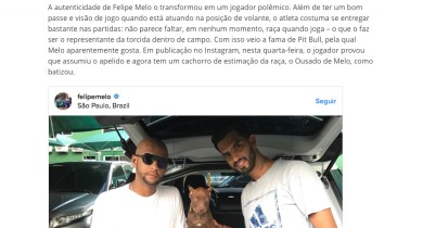 Galeria de Imagens Piffer Pugs: Gazeta - Alimentando a fama, Felipe Melo exibe seu novo cachorro da raça Pit Bull