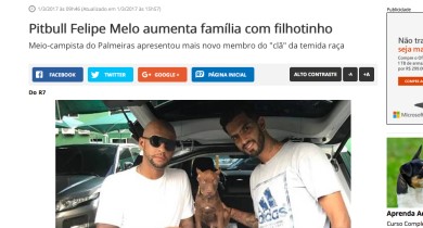 Galeria de Imagens Piffer Pugs: R7 - Pitbull Felipe Melo aumenta família com filhotinho